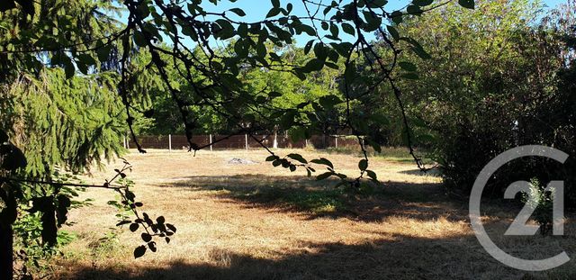 terrain - ST GAUZENS - 81
