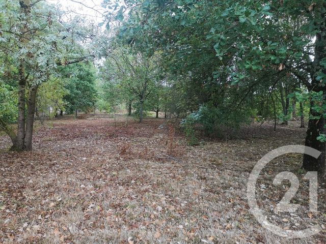 terrain à vendre - 1000.0 m2 - GRAULHET - 81 - MIDI-PYRENEES - Century 21 Sg Immo