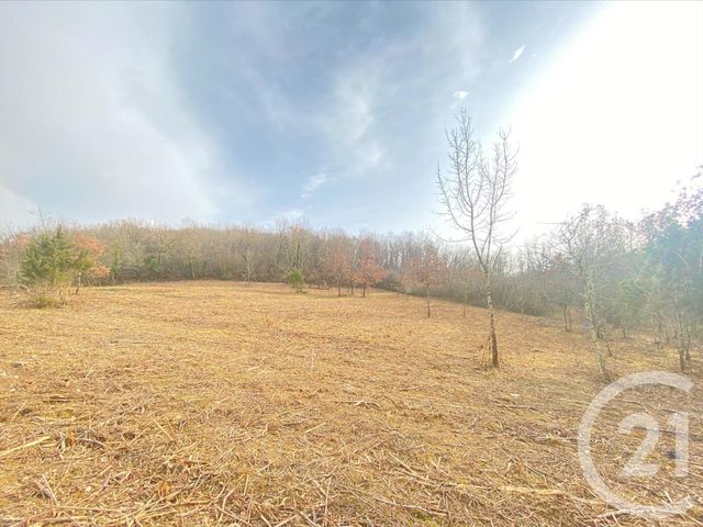 terrain à vendre - 2776.0 m2 - GRAULHET - 81 - MIDI-PYRENEES - Century 21 Sg Immo