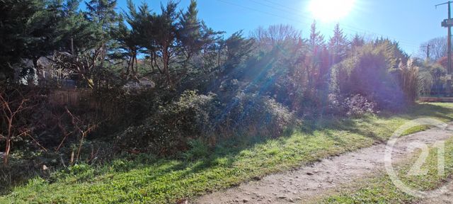 immeuble à vendre - 480.0 m2 - GRAULHET - 81 - MIDI-PYRENEES - Century 21 Sg Immo