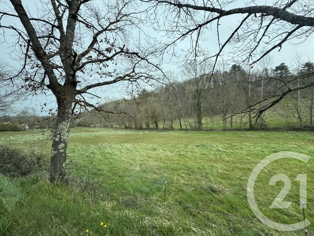 terrain à vendre - 3000.0 m2 - GRAULHET - 81 - MIDI-PYRENEES - Century 21 Sg Immo