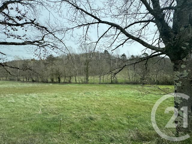 terrain à vendre - 3000.0 m2 - GRAULHET - 81 - MIDI-PYRENEES - Century 21 Sg Immo