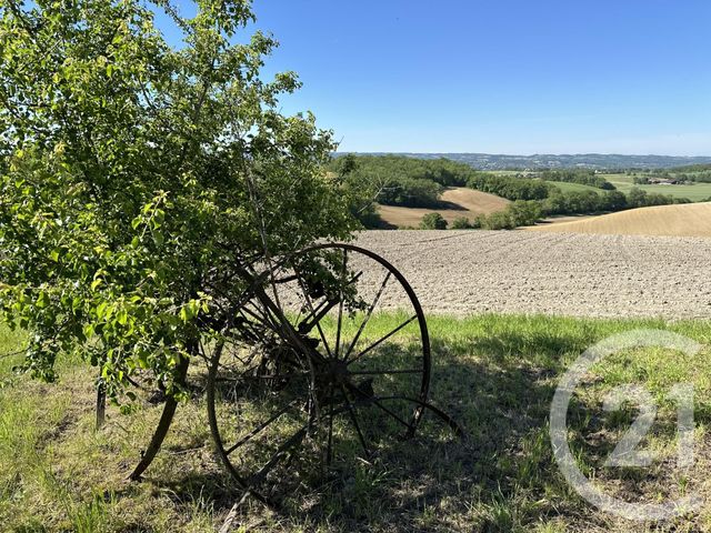 maison à vendre - 10 pièces - 474.24 m2 - LABESSIERE CANDEIL - 81 - MIDI-PYRENEES - Century 21 Sg Immo