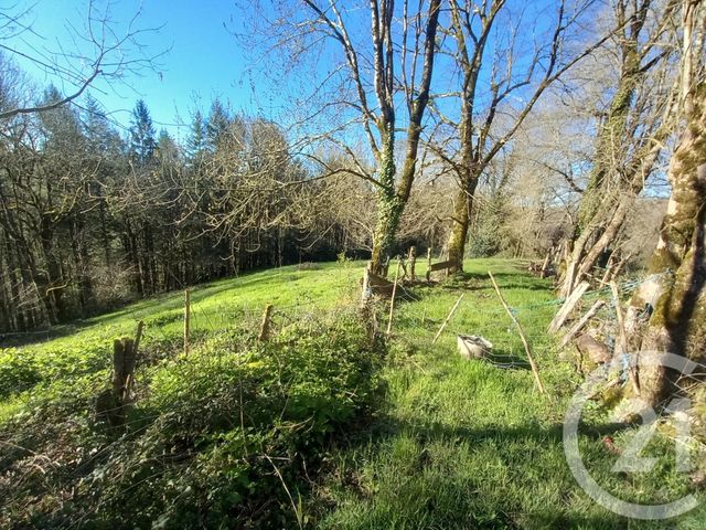 maison à vendre - 5 pièces - 99.44 m2 - MONTREDON LABESSONNIE - 81 - MIDI-PYRENEES - Century 21 Sg Immo