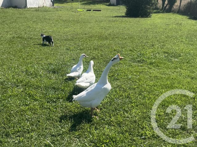 maison à vendre - 6 pièces - 225.0 m2 - CABANES - 81 - MIDI-PYRENEES - Century 21 Sg Immo