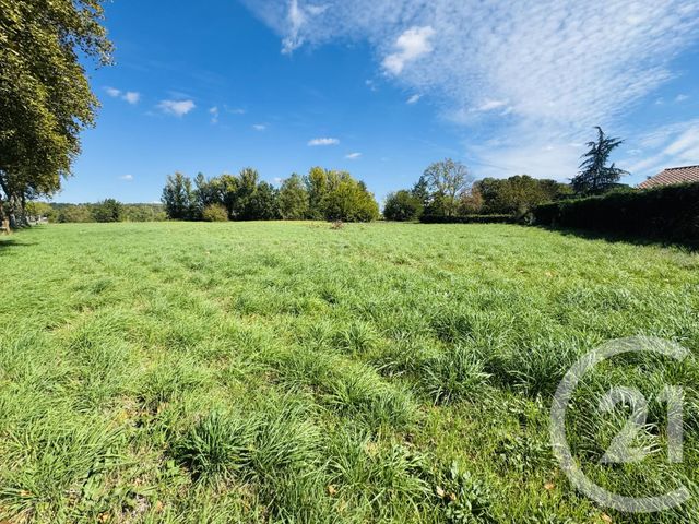 terrain à vendre - 1585.0 m2 - DAMIATTE - 81 - MIDI-PYRENEES - Century 21 Sg Immo