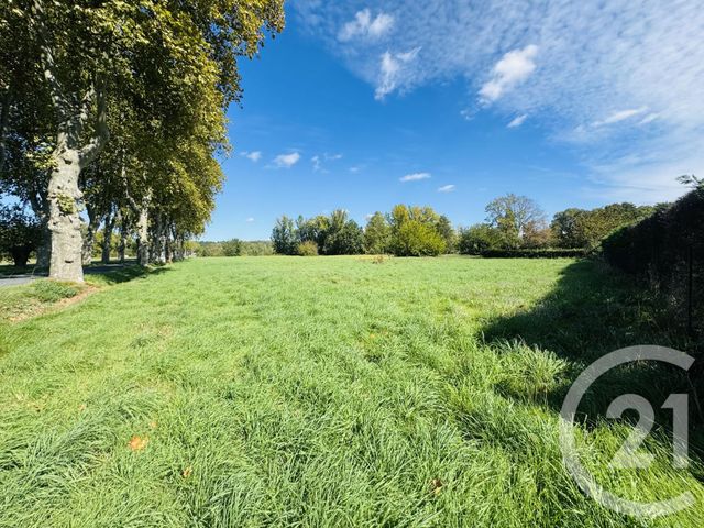 terrain à vendre - 1585.0 m2 - DAMIATTE - 81 - MIDI-PYRENEES - Century 21 Sg Immo