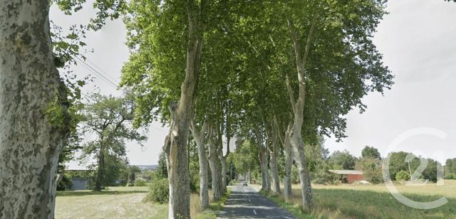 terrain à vendre - 1585.0 m2 - DAMIATTE - 81 - MIDI-PYRENEES - Century 21 Sg Immo
