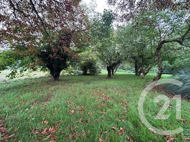 Appartement T2 à louer - 2 pièces - 88.37 m2 - GRAULHET - 81 - MIDI-PYRENEES - Century 21 Sg Immo