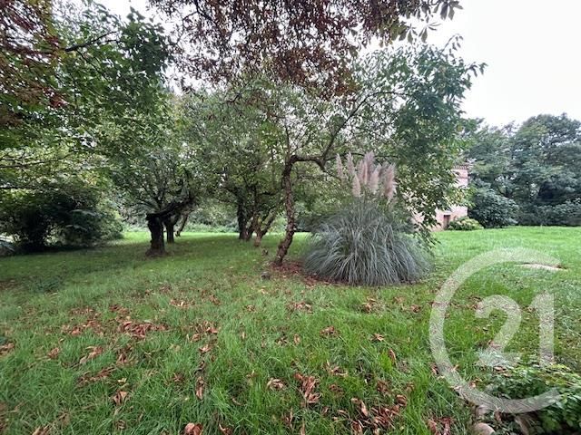 Appartement T2 à louer - 2 pièces - 88.37 m2 - GRAULHET - 81 - MIDI-PYRENEES - Century 21 Sg Immo