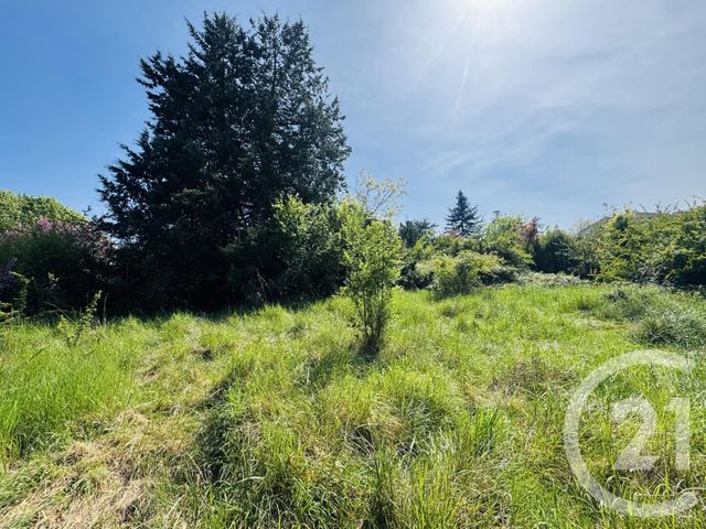 terrain à vendre - 1036.0 m2 - GRAULHET - 81 - MIDI-PYRENEES - Century 21 Sg Immo