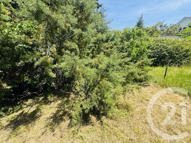 terrain à vendre - 1115.0 m2 - GRAULHET - 81 - MIDI-PYRENEES - Century 21 Sg Immo