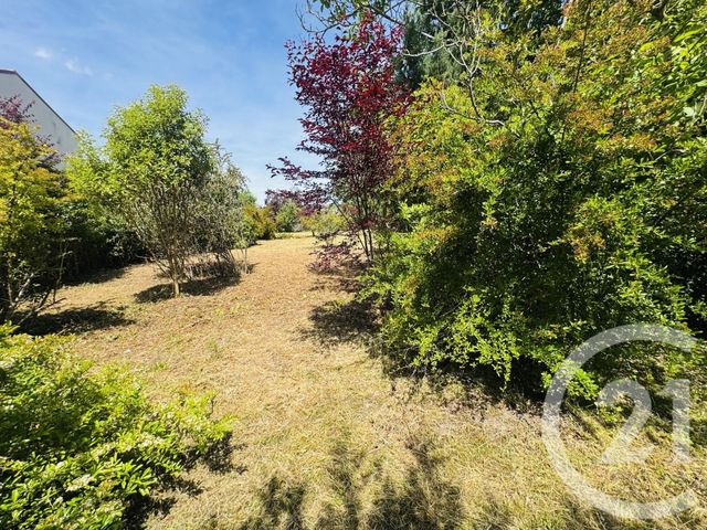 terrain à vendre - 1115.0 m2 - GRAULHET - 81 - MIDI-PYRENEES - Century 21 Sg Immo