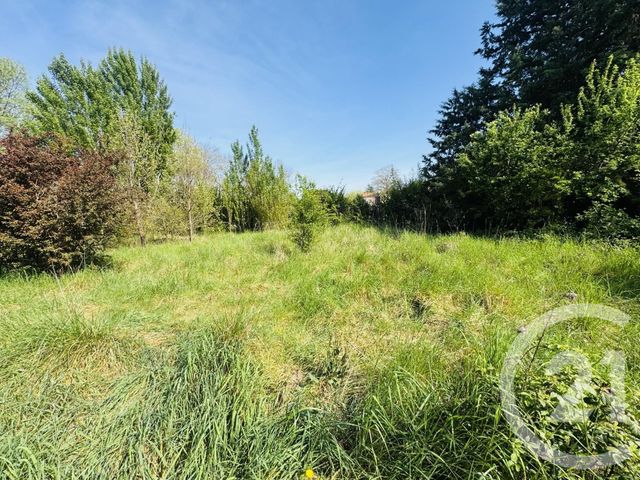 terrain à vendre - 1036.0 m2 - GRAULHET - 81 - MIDI-PYRENEES - Century 21 Sg Immo