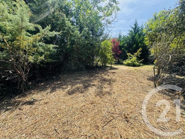 terrain à vendre - 1115.0 m2 - GRAULHET - 81 - MIDI-PYRENEES - Century 21 Sg Immo