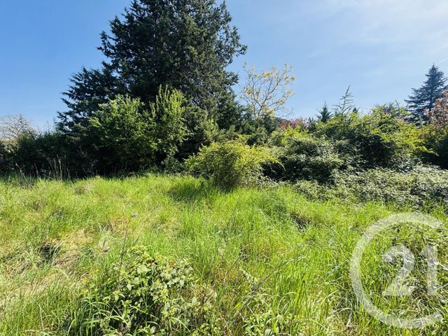 terrain à vendre - 1036.0 m2 - GRAULHET - 81 - MIDI-PYRENEES - Century 21 Sg Immo