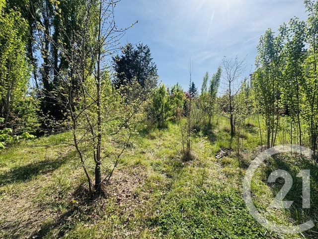 terrain à vendre - 1036.0 m2 - GRAULHET - 81 - MIDI-PYRENEES - Century 21 Sg Immo