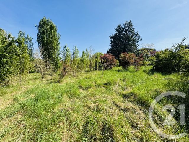 terrain à vendre - 1036.0 m2 - GRAULHET - 81 - MIDI-PYRENEES - Century 21 Sg Immo