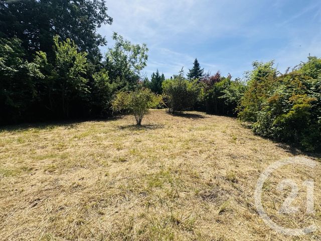 terrain à vendre - 1115.0 m2 - GRAULHET - 81 - MIDI-PYRENEES - Century 21 Sg Immo