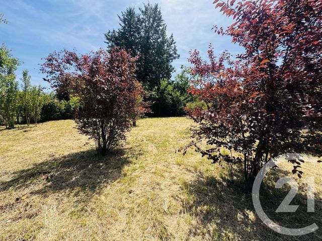 terrain à vendre - 1115.0 m2 - GRAULHET - 81 - MIDI-PYRENEES - Century 21 Sg Immo