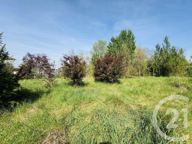 terrain à vendre - 1036.0 m2 - GRAULHET - 81 - MIDI-PYRENEES - Century 21 Sg Immo