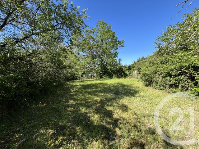 maison à vendre - 10 pièces - 474.24 m2 - LABESSIERE CANDEIL - 81 - MIDI-PYRENEES - Century 21 Sg Immo