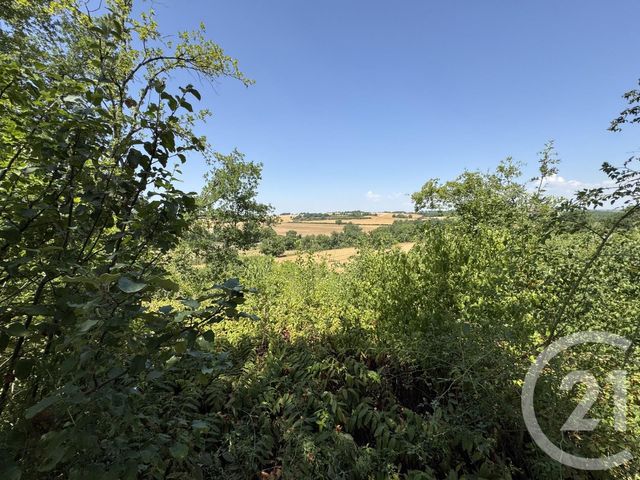 maison à vendre - 10 pièces - 270.0 m2 - LABESSIERE CANDEIL - 81 - MIDI-PYRENEES - Century 21 Sg Immo