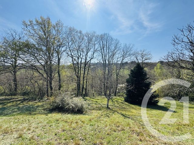 maison à vendre - 5 pièces - 180.2 m2 - GRAULHET - 81 - MIDI-PYRENEES - Century 21 Sg Immo