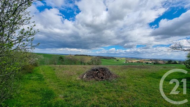 maison à vendre - 6 pièces - 169.5 m2 - LABESSIERE CANDEIL - 81 - MIDI-PYRENEES - Century 21 Sg Immo