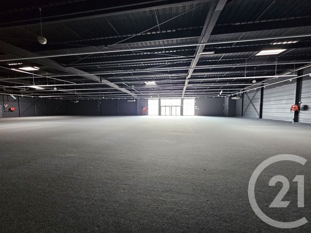 maison à louer - 1 pièce - 1342.0 m2 - GRAULHET - 81 - MIDI-PYRENEES - Century 21 Sg Immo