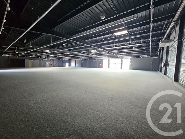 maison à louer - 1 pièce - 1342.0 m2 - GRAULHET - 81 - MIDI-PYRENEES - Century 21 Sg Immo