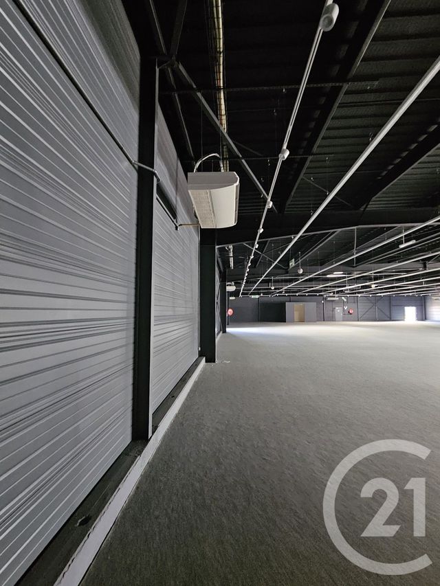 maison à louer - 1 pièce - 1342.0 m2 - GRAULHET - 81 - MIDI-PYRENEES - Century 21 Sg Immo