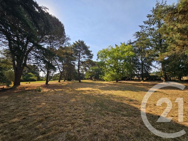 maison à vendre - 6 pièces - 266.41 m2 - GRAULHET - 81 - MIDI-PYRENEES - Century 21 Sg Immo