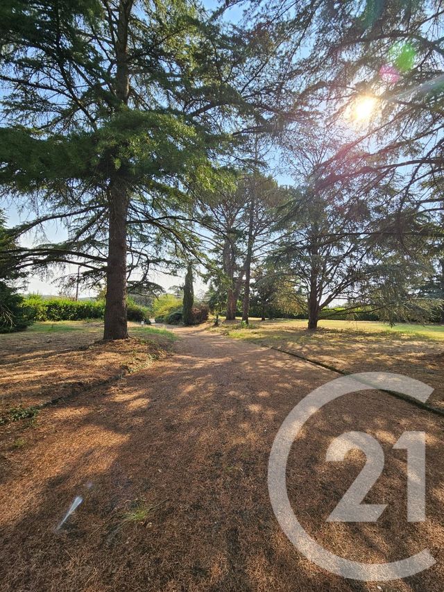 maison à vendre - 6 pièces - 266.41 m2 - GRAULHET - 81 - MIDI-PYRENEES - Century 21 Sg Immo
