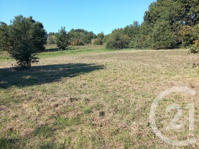 terrain à vendre - 1424.0 m2 - GRAULHET - 81 - MIDI-PYRENEES - Century 21 Sg Immo