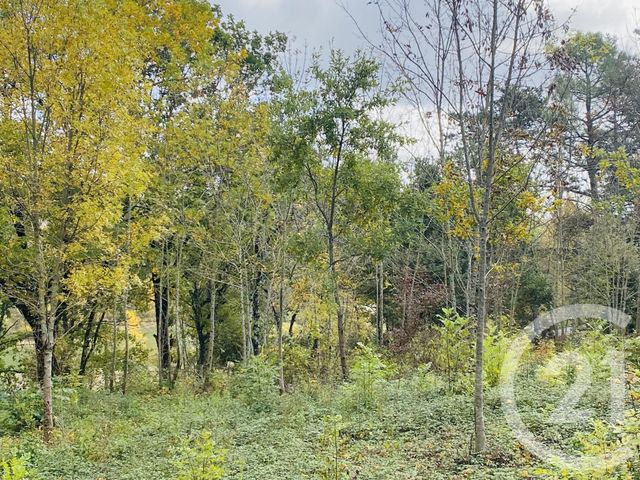terrain à vendre - 2440.0 m2 - GRAULHET - 81 - MIDI-PYRENEES - Century 21 Sg Immo