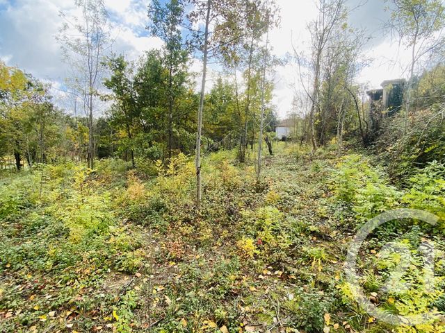 terrain à vendre - 2440.0 m2 - GRAULHET - 81 - MIDI-PYRENEES - Century 21 Sg Immo