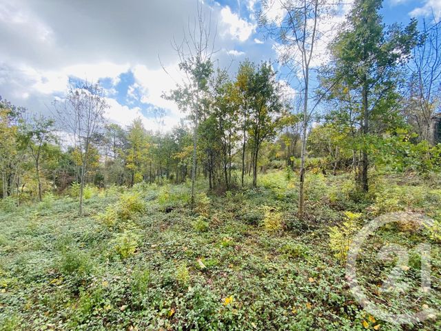 terrain à vendre - 2440.0 m2 - GRAULHET - 81 - MIDI-PYRENEES - Century 21 Sg Immo