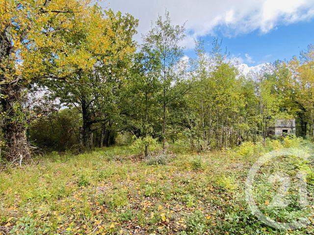 terrain à vendre - 3028.0 m2 - GRAULHET - 81 - MIDI-PYRENEES - Century 21 Sg Immo