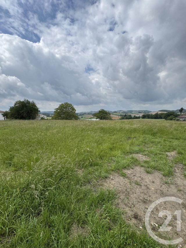 terrain - LABESSIERE CANDEIL - 81